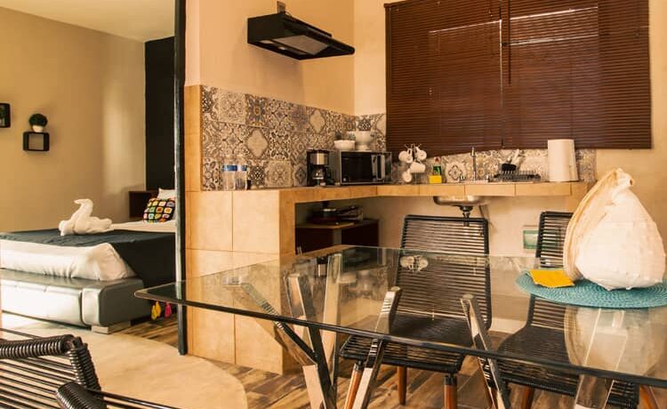 APARTMENT WITH TERRACE